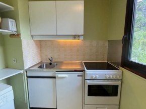 Appartement cosy 2 pièces, 5 pers, balcon, wifi, animaux admis, quartier Croisette - FR-1-574-68